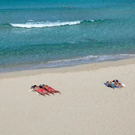 Διαμέρισμα Glorious Le Pavoncelle One Bedroom Sleeps Four Child Num1450 Santa Teresa Gallura